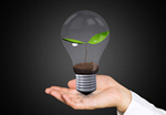 Сlipart Light Bulb Growth Business Plant Inspiration   BillionPhotos