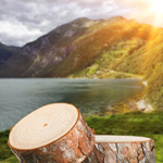 Сlipart farm wood nature grass table   BillionPhotos