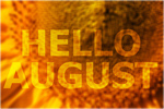 Сlipart august month background decoration sunflower   BillionPhotos