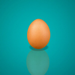 Сlipart egg animal background bird boiled   BillionPhotos