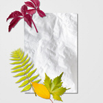 Сlipart above art autumn background beauty   BillionPhotos