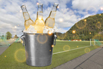 Сlipart Beer Bottle Beer Bucket Cinco De Mayo Ice   BillionPhotos