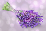 Сlipart Lavender Bouquet Lavender Coloured Flower Isolated   BillionPhotos