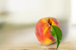 Сlipart peach pink 1 background branch   BillionPhotos