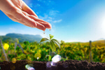 Сlipart agriculture background concept dirt drop   BillionPhotos
