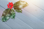 Сlipart above redberry bearberry bunch clipping paths   BillionPhotos