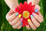 Сlipart closeup polish human acrylic floral   BillionPhotos