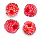Сlipart raspberry background white berry closeup   BillionPhotos