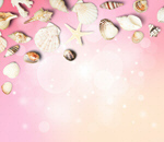 Сlipart Shell Beach Sand Starfish Frame   BillionPhotos