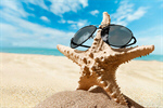 Сlipart Starfish In Sunglasses Beach Shell Summer Single Object   BillionPhotos