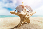 Сlipart Sunglasses Starfish Beach Shell Summer   BillionPhotos