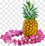 Сlipart Garland Hawaiian Culture Pineapple Flower Food photo cut out BillionPhotos