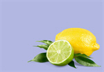 Сlipart copy space citrus background pink food   BillionPhotos