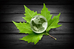 Сlipart Alternative Energy Environment Earth Globe Leaf   BillionPhotos