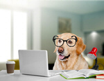 Сlipart computer dog adorable animal background   BillionPhotos