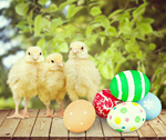 Сlipart Easter Easter Egg Eggs Animal Egg Pastel Colored   BillionPhotos