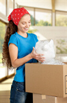 Сlipart Moving House Moving Office Box Women Leaning   BillionPhotos