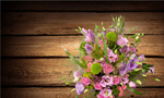 Сlipart Bouquet Flower Arrangement Flower Rose Spring   BillionPhotos
