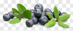 Сlipart Blueberry Berry Fruit Food Fruit Blue photo cut out BillionPhotos
