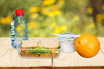 Сlipart lunch sandwich and fruit Lunch Box Lunch Education Box   BillionPhotos