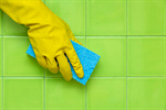 Сlipart Cleaning Bathroom Clean Tile Housework photo  BillionPhotos