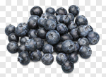 Сlipart Blueberry Berry Fruit Food Fruit Blue photo cut out BillionPhotos