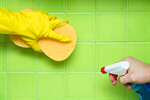 Сlipart Cleaning Bathroom Cleaner Clean Tile photo  BillionPhotos