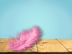 Сlipart Feather Pink Tickling White Backgrounds   BillionPhotos