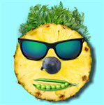 Сlipart hipster fashion summer background pink   BillionPhotos