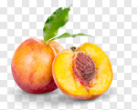 Сlipart Peach Fruit Leaf Isolated Group of Objects photo cut out BillionPhotos