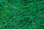 Сlipart grass green texture abstract backdrop   BillionPhotos