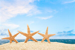 Сlipart beach starfish 2014 coco tourism   BillionPhotos