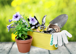 Сlipart Gardening Gardening Equipment Flower Pot Plant Potted Plant   BillionPhotos
