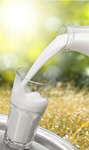 Сlipart Milk Dairy Product Pouring Glass Freshness   BillionPhotos