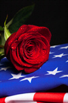 Сlipart Flag Memorial Rose Folded American Culture photo  BillionPhotos