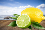 Сlipart Lemon Lime Citrus Fruit Portion Blossom   BillionPhotos