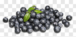 Сlipart Blueberry Berry Fruit Blue Isolated Fruit photo cut out BillionPhotos