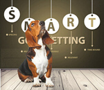 Сlipart Basset Hound Hound Dog Looking Up White   BillionPhotos